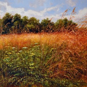 Honey Meadows by Anikin